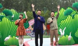 喜相逢最新爆料视频大全,精彩瞬间尽收眼底