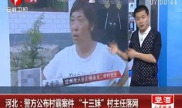 十三妹最新爆料新闻视频,最新爆料新闻视频深度解析