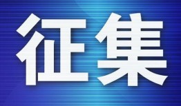 半岛晨报最新爆料,最新爆料引发社会热议