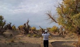 新疆伊吾最新爆料消息,神秘事件引发热议，揭秘背后真相